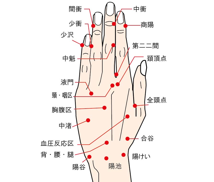 睡眠に良い影響が期待される爪のまわりのツボ