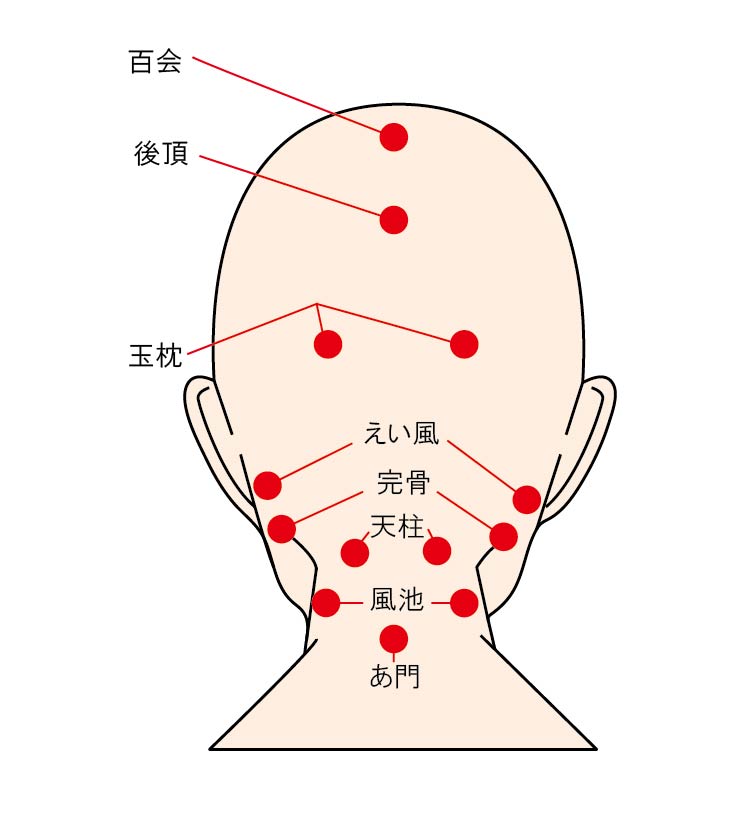 睡眠に良い影響が期待される頭まわりのツボ