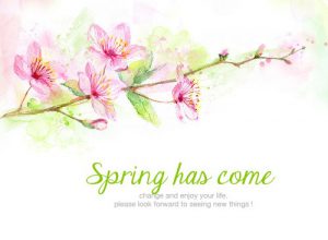 spring e1519952791528 1