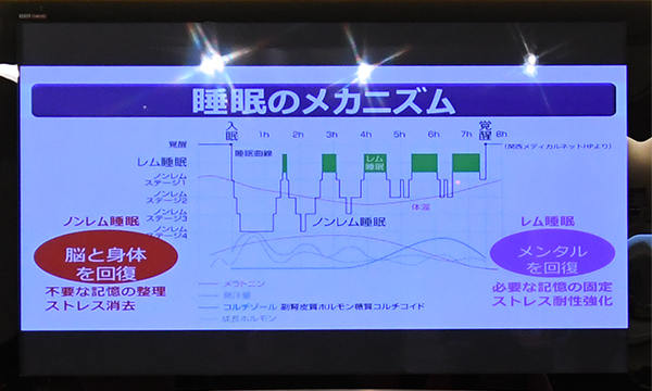 第2回スペシャルフレンズラン Supported by ライズTOKYO 開催レポート5