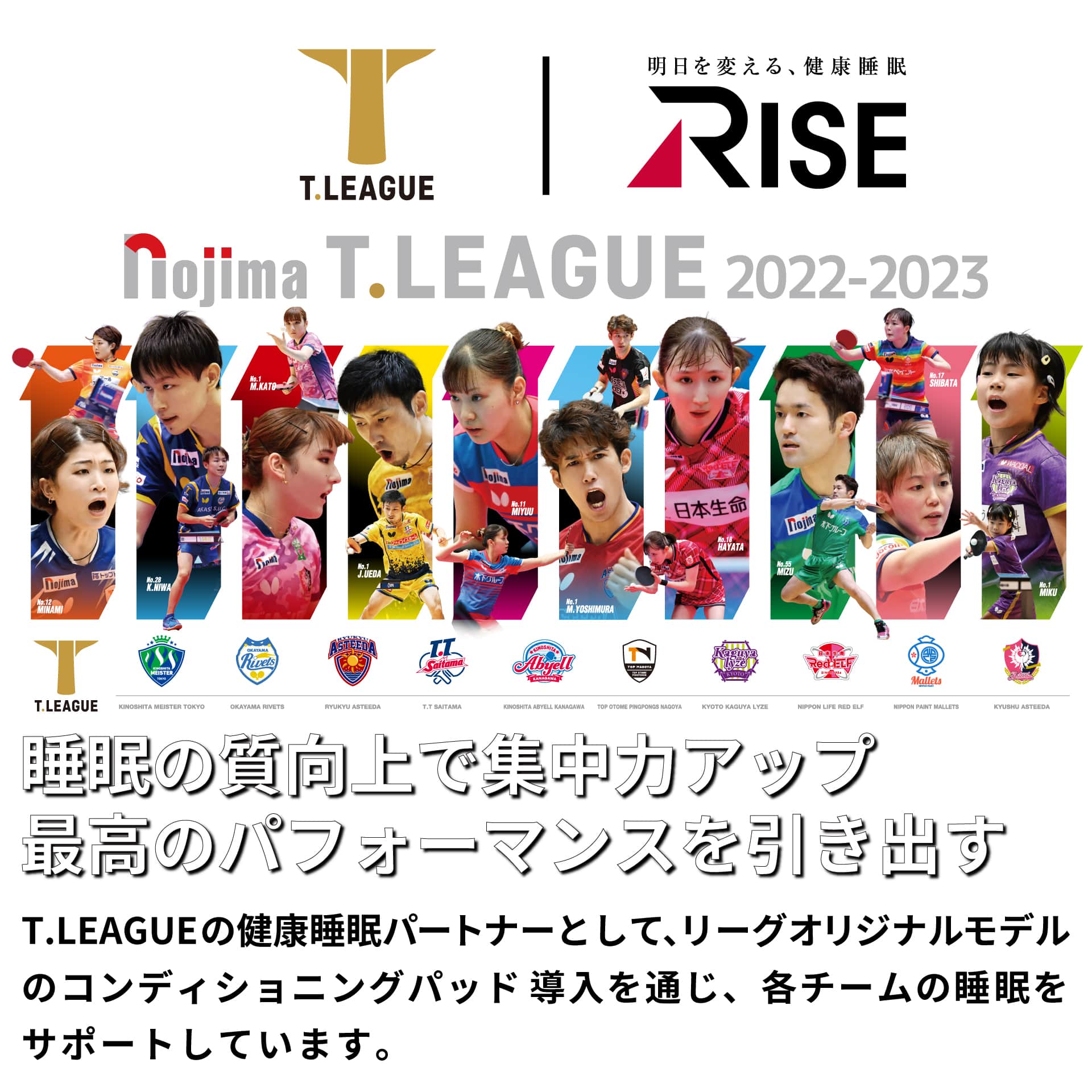 tleague ic