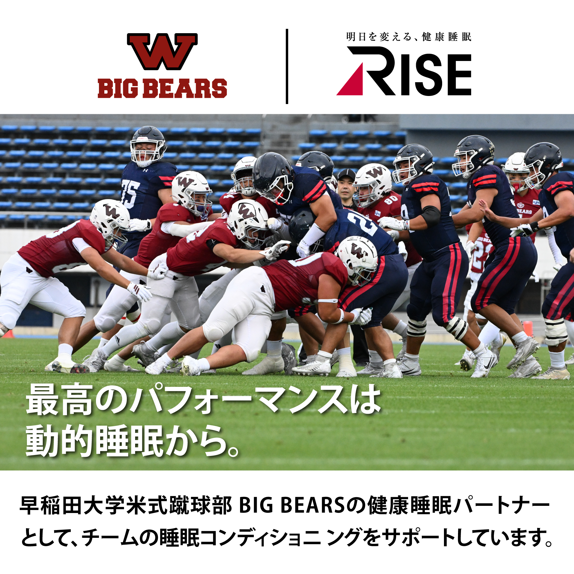 wasedabigbears 2605