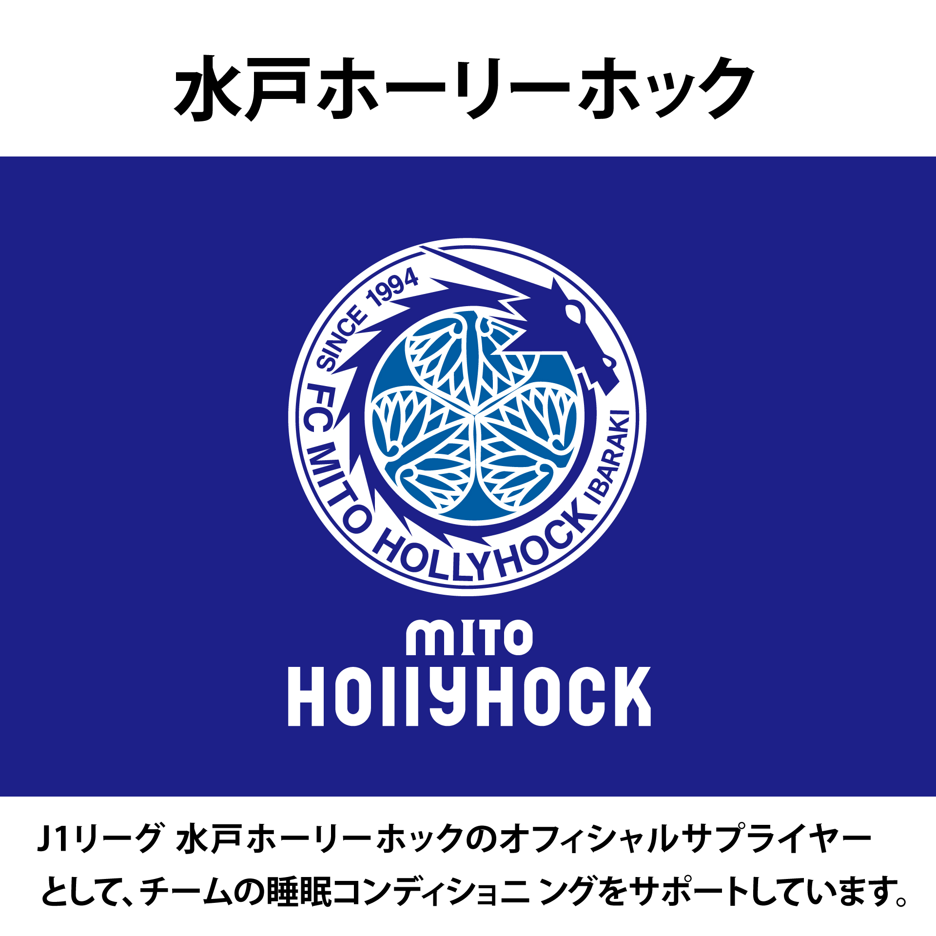 mitohh 2607